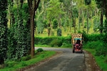 Planning a trip to Coorg? Here are 3 luxury stays you should try out